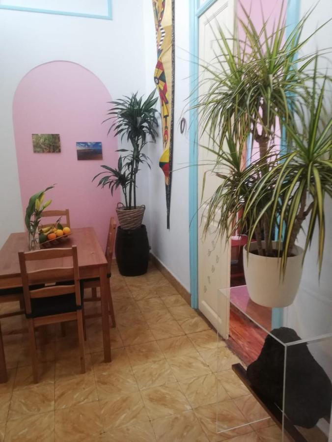 Apartamento Patricia إرميغوا المظهر الخارجي الصورة